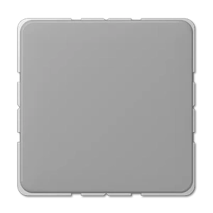 Изображение Заглушка с опорной пластиной CD594-0GR CD 500